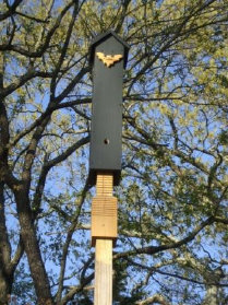 rocket bat house